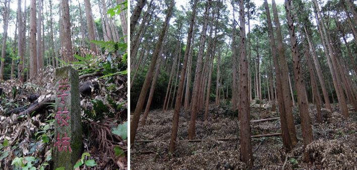 DSCF0228.jpg - 102,829Bytes