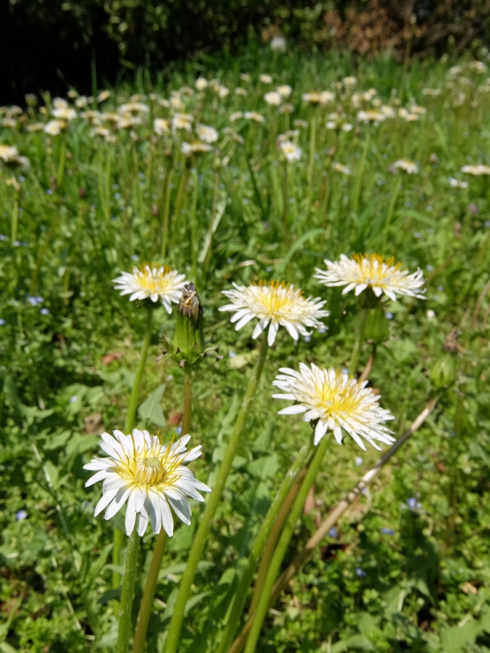 DSCF3323.jpg - 505,891Bytes