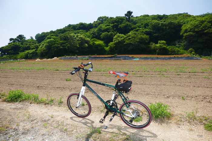 P1390685.jpg - 132,522Bytes