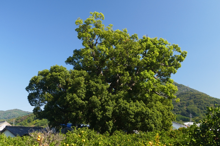 P1400265.jpg - 362,822Bytes