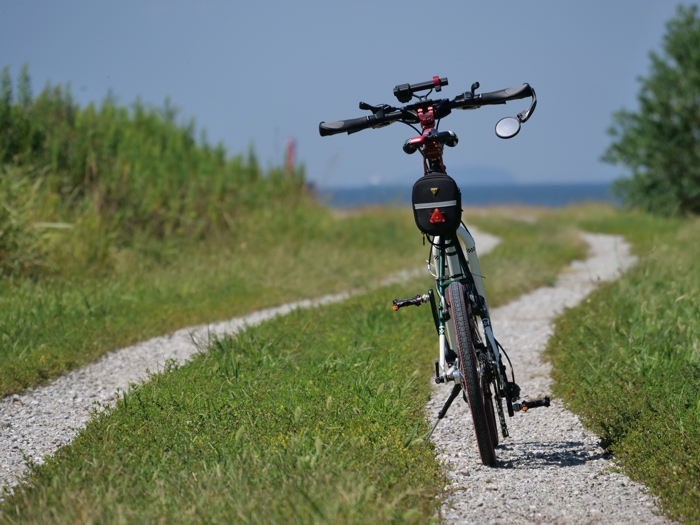 P1450188.jpg - 320,175Bytes