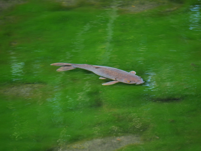 P3301462.jpg - 244,561Bytes