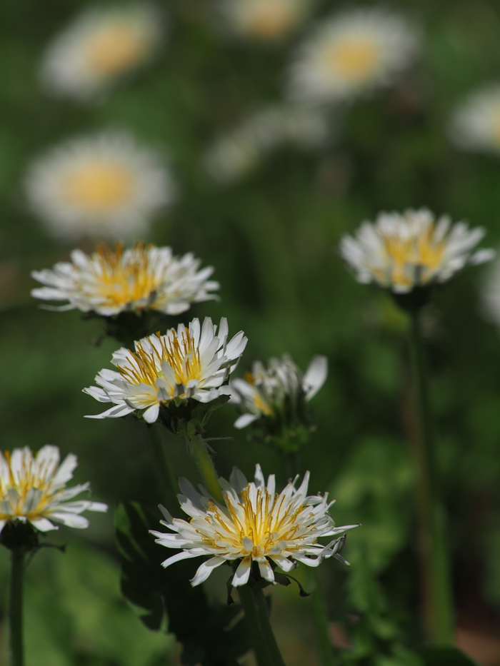 P4082728.jpg - 348,175Bytes