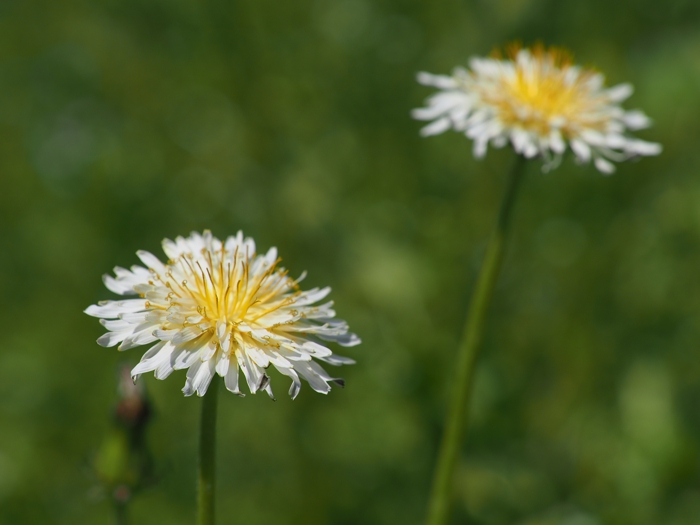 P4082778.jpg - 200,562Bytes