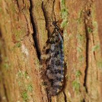 unmonhirobakagerou_P5140152.jpg - 44,451Bytes