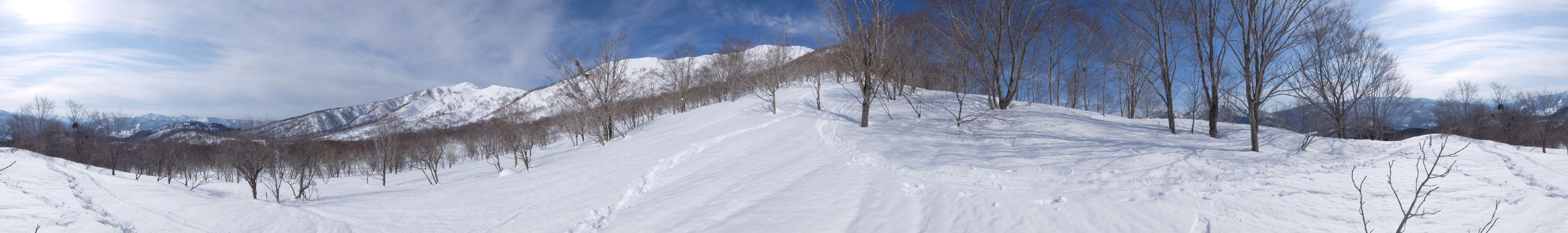 DSCF2994.jpg - 337,456Bytes