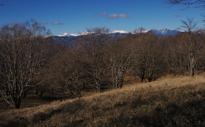P1172157.jpg - 100,906Bytes
