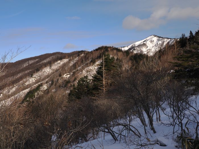 P2212631.jpg - 107,105Bytes