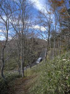 R0013428.jpg - 44,152Bytes